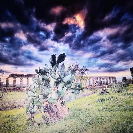 Dolce Luxury 4 Km Da Colosseo * Рим